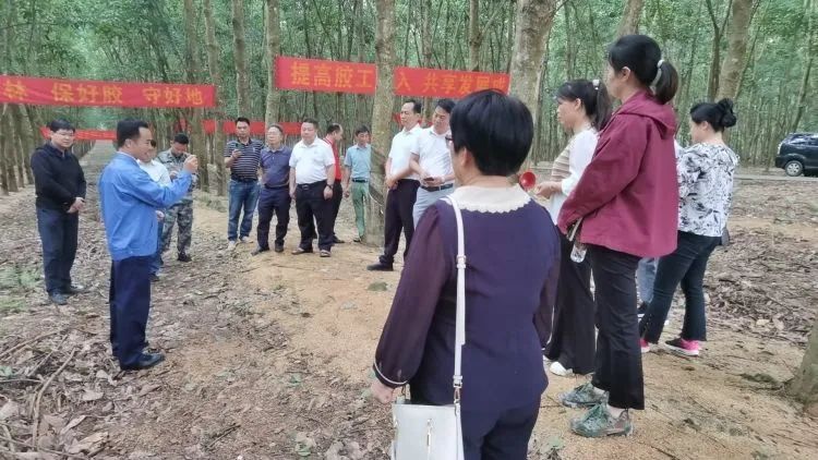 全國割膠冠軍張健給各單位學(xué)員做標(biāo)準(zhǔn)化膠園建設(shè)及割膠技術(shù)的經(jīng)驗(yàn)介紹。.jpg